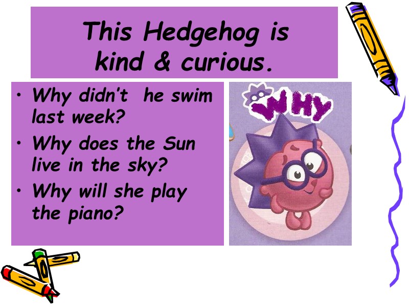 This Hedgehog is  kind & curious. Why didn’t  he swim last week?